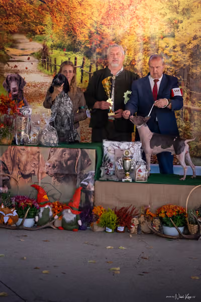 Krajská Hubertská výstava všech plemen – Senior handling