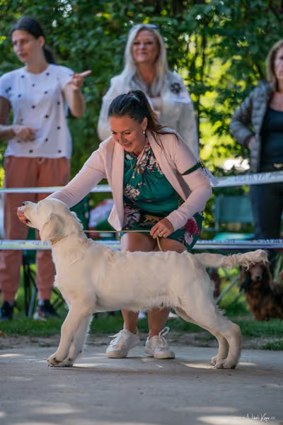 Krajská Hubertská výstava všech plemen – ŠTĚNĚ