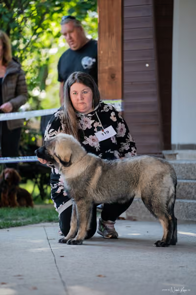 Krajská Hubertská výstava všech plemen – ŠTĚNĚ