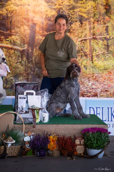 Krajská Hubertská výstava všech plemen – ŠTĚNĚ
