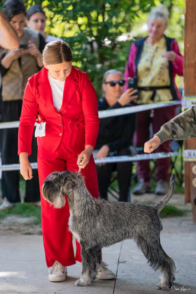 Krajská Hubertská výstava všech plemen – JH1