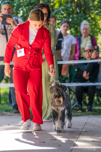 Krajská Hubertská výstava všech plemen – JH1