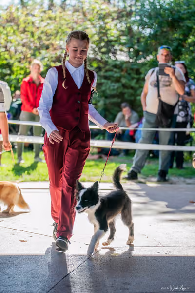 Krajská Hubertská výstava všech plemen – JH 1