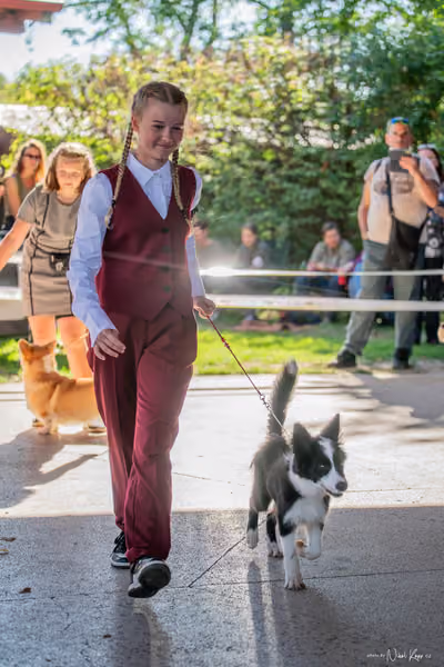 Krajská Hubertská výstava všech plemen – JH 1