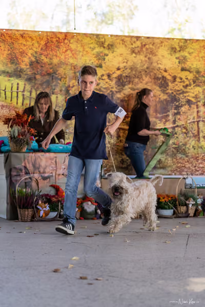 Krajská Hubertská výstava všech plemen – JH1