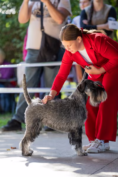 Krajská Hubertská výstava všech plemen – JH1