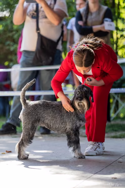 Krajská Hubertská výstava všech plemen – JH1