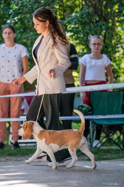 Krajská Hubertská výstava všech plemen – JH 2