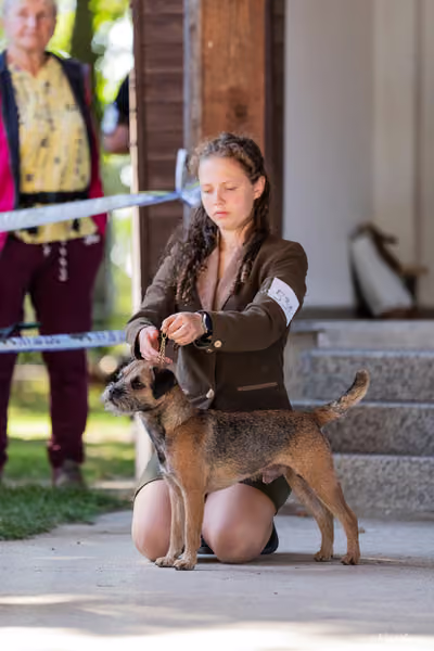 Krajská Hubertská výstava všech plemen – JH 2