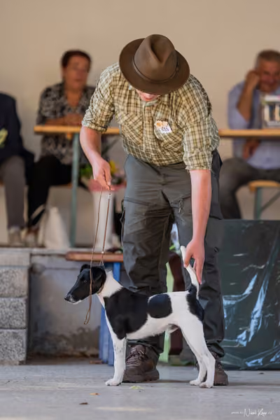Krajská Hubertská výstava všech plemen – JH 2