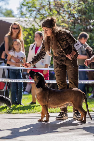 Krajská Hubertská výstava všech plemen – PÁRY