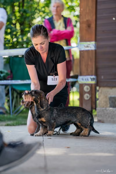 Krajská Hubertská výstava všech plemen – PÁRY