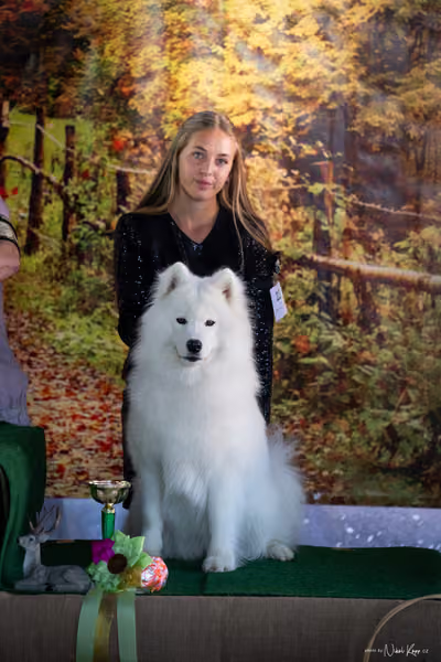 Krajská Hubertská výstava všech plemen – 5 FCI fena