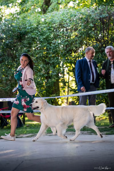 Krajská Hubertská výstava všech plemen – Vítěz výstavy