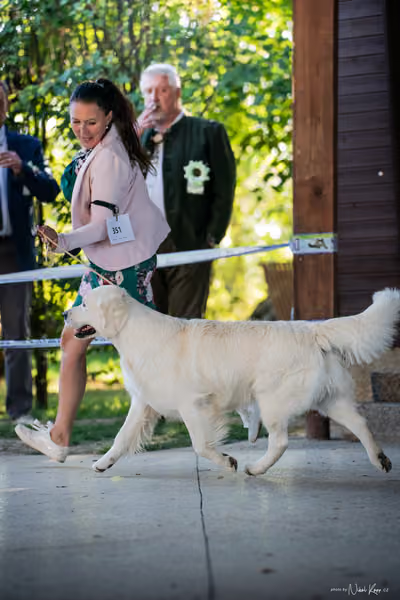 Krajská Hubertská výstava všech plemen – Vítěz výstavy