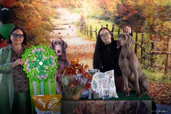 Krajská Hubertská výstava všech plemen – Nejlepší mladý