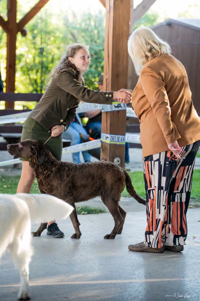 Krajská Hubertská výstava všech plemen – Vítěz výstavy