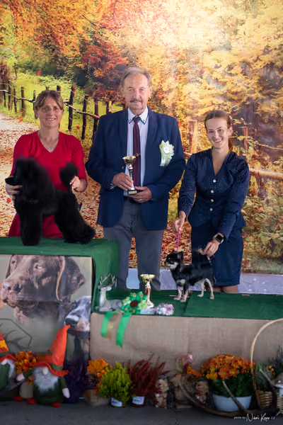 Krajská Hubertská výstava všech plemen – 9 FCI Junior fena