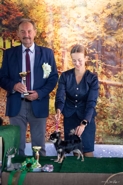 Krajská Hubertská výstava všech plemen – 9 FCI Junior fena