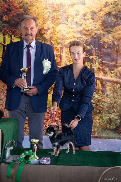 Krajská Hubertská výstava všech plemen – 9 FCI Junior fena
