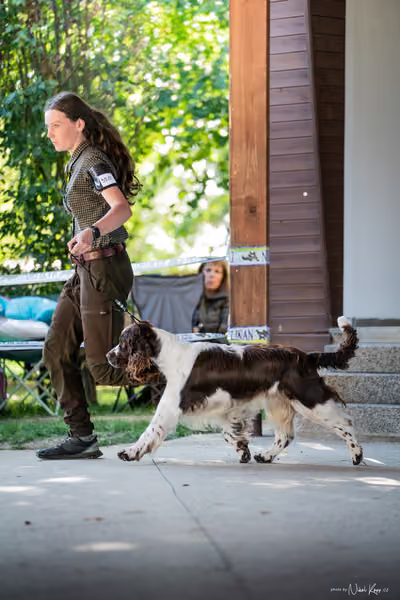 Krajská Hubertská výstava všech plemen – Lesní