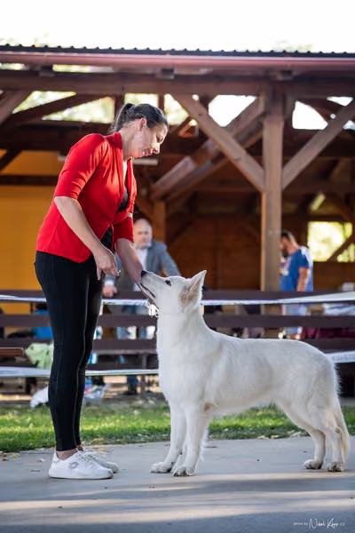 Krajská Hubertská výstava všech plemen – Nejlepší fena