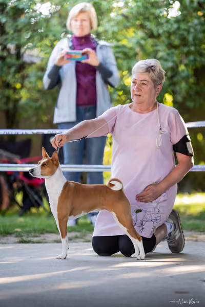 Krajská Hubertská výstava všech plemen – Nejlepší fena