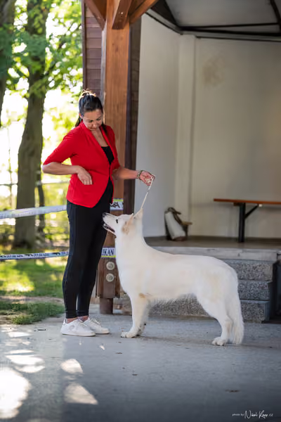 Krajská Hubertská výstava všech plemen – Nejlepší fena