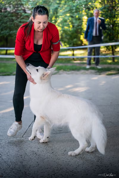 Krajská Hubertská výstava všech plemen – Nejlepší fena