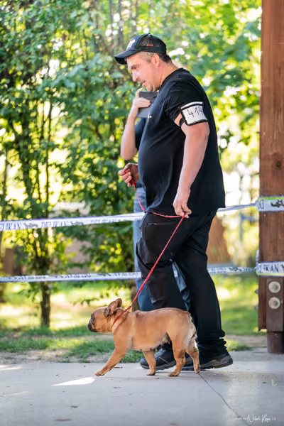 Krajská Hubertská výstava všech plemen – 9 FCI fena