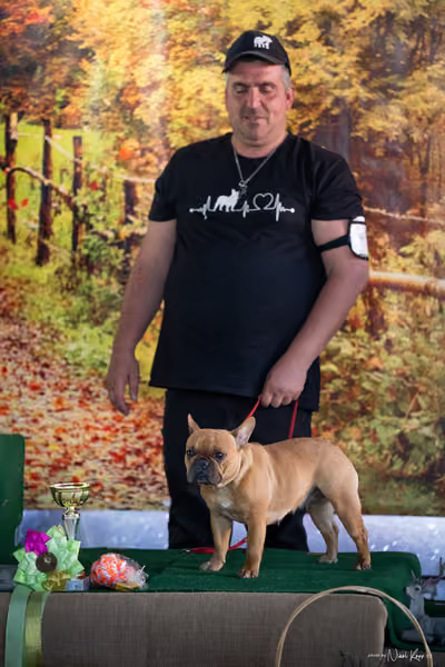 Krajská Hubertská výstava všech plemen – 9 FCI fena