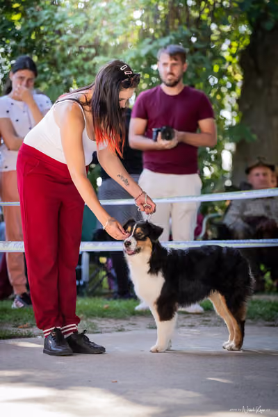 Krajská Hubertská výstava všech plemen – DOROST