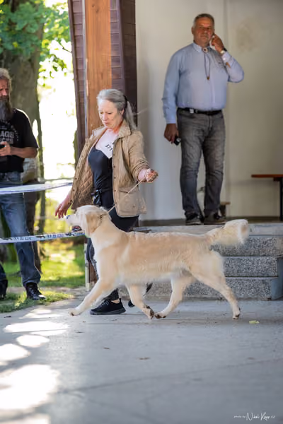 Krajská Hubertská výstava všech plemen – 8 FCI fena