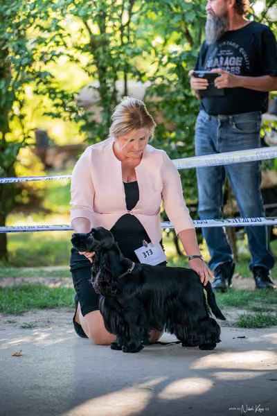 Krajská Hubertská výstava všech plemen – 8 FCI fena
