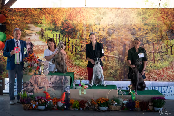 Krajská Hubertská výstava všech plemen – FCI 7 fena