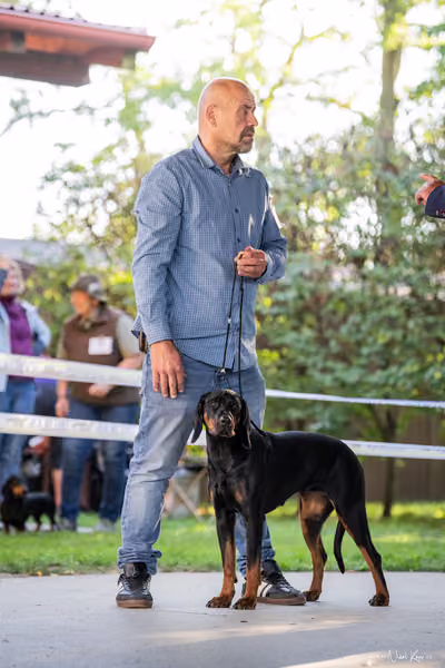 Krajská Hubertská výstava všech plemen – 6 FCI fena