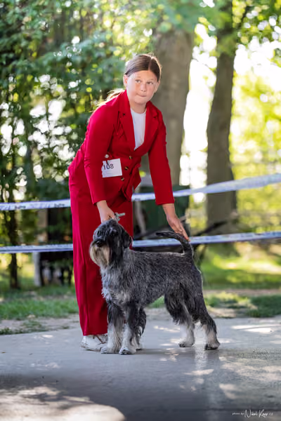 Krajská Hubertská výstava všech plemen – 2 FCI fena