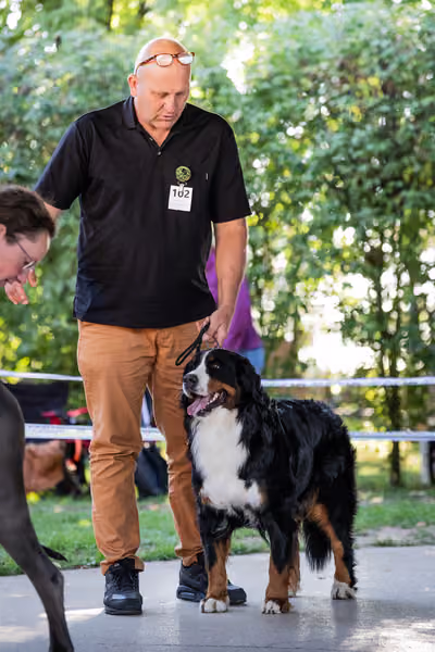 Krajská Hubertská výstava všech plemen – 2 FCI fena