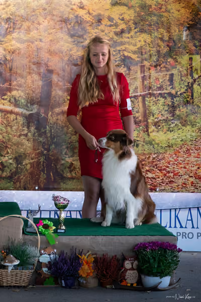 Krajská Hubertská výstava všech plemen – 1 FCI fena