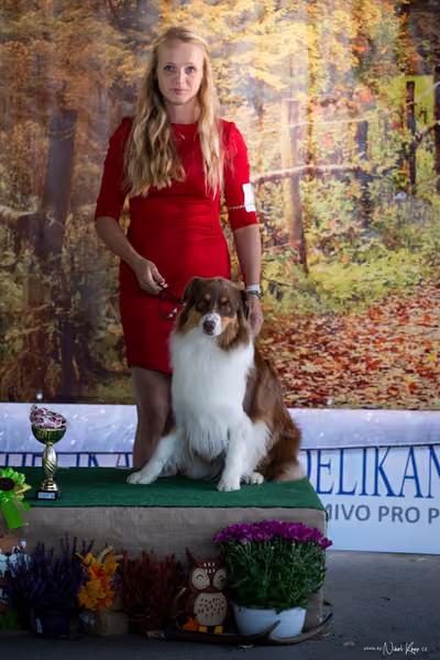 Krajská Hubertská výstava všech plemen – 1 FCI fena