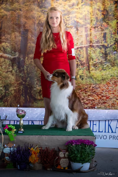 Krajská Hubertská výstava všech plemen – 1 FCI fena