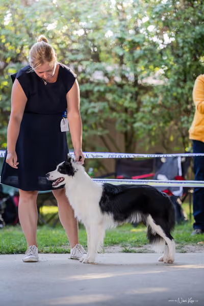 Krajská Hubertská výstava všech plemen – 1 FCI fena