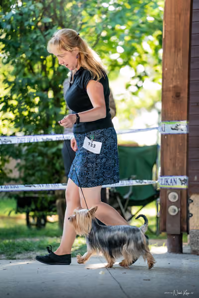 Krajská Hubertská výstava všech plemen – 3 FCI fena