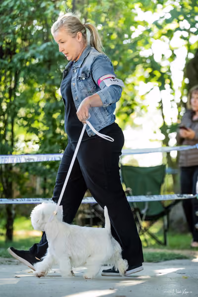 Krajská Hubertská výstava všech plemen – 3 FCI fena