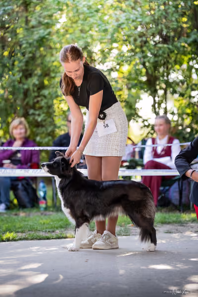 Krajská Hubertská výstava všech plemen – Čestná