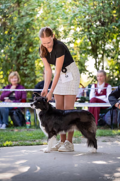 Krajská Hubertská výstava všech plemen – Čestná