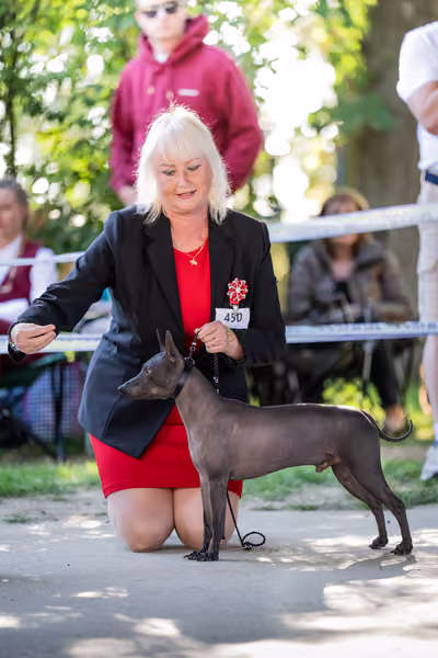Krajská Hubertská výstava všech plemen – Čestná