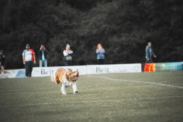 USDDN 25.9.2026 – 25. září 2026