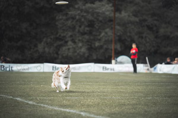 USDDN 25.9.2026 – 25. září 2026