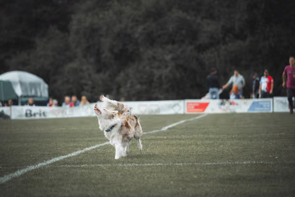 USDDN 25.9.2026 – 25. září 2026